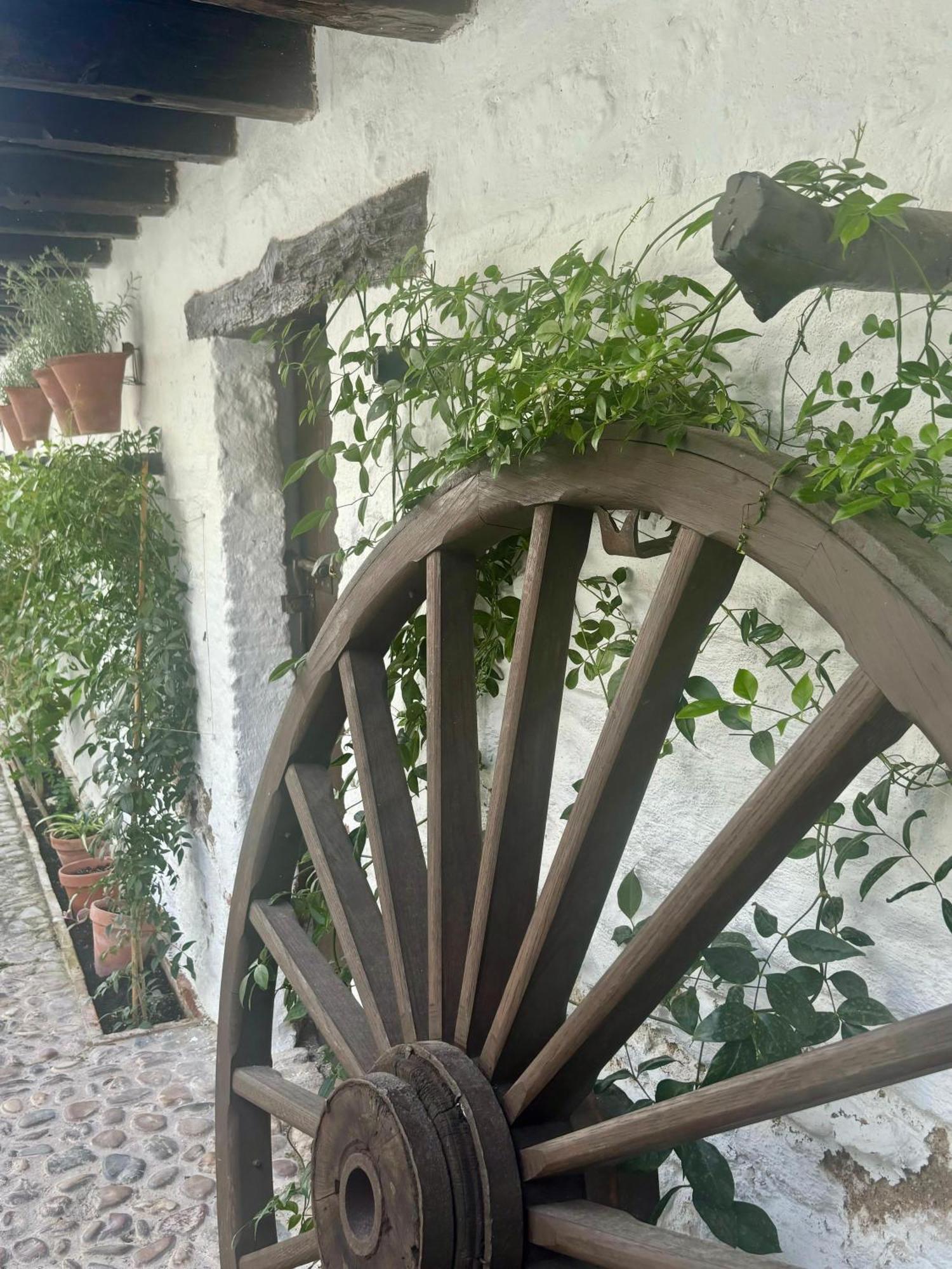 La Buganvilla De Santiago Córdova Exterior foto