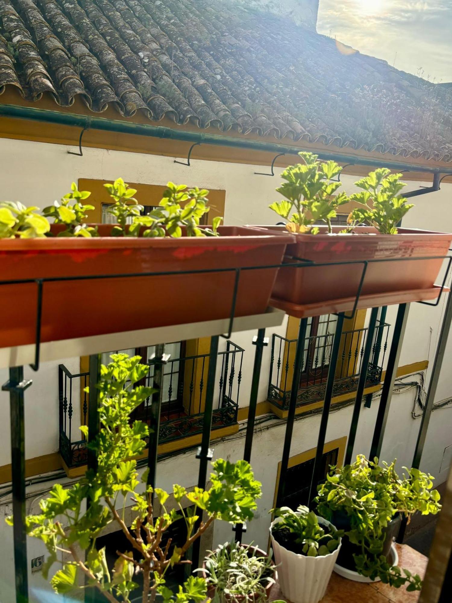 La Buganvilla De Santiago Córdova Exterior foto